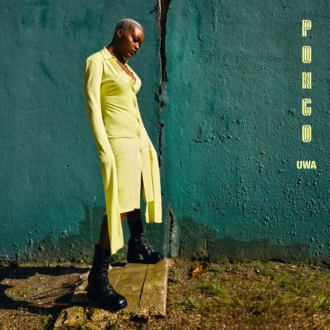Pongo - UWA Rec, réal, prods & arrangements